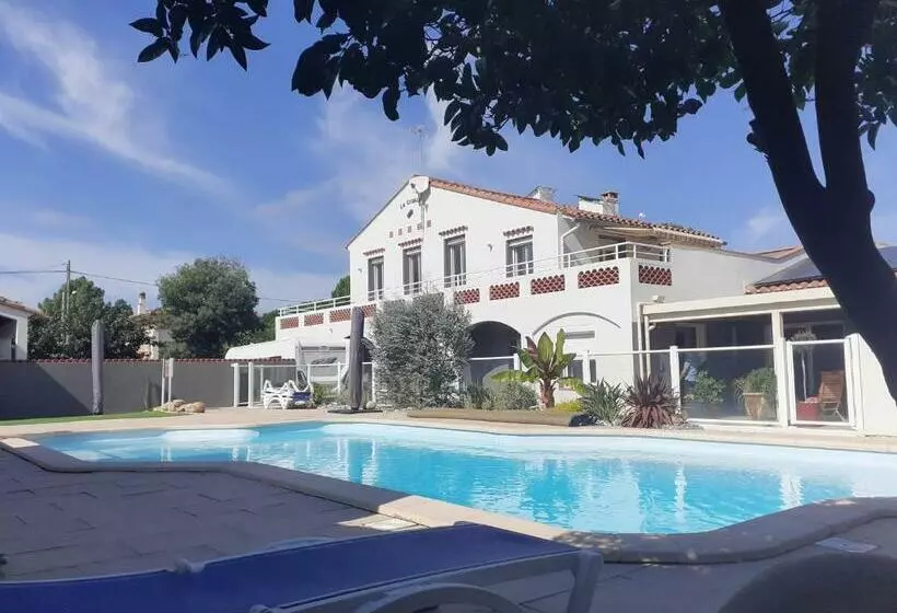 La Cigale Argeles   Studio Pyrenees Orientales