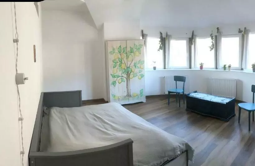 Lemon Tree Apartment