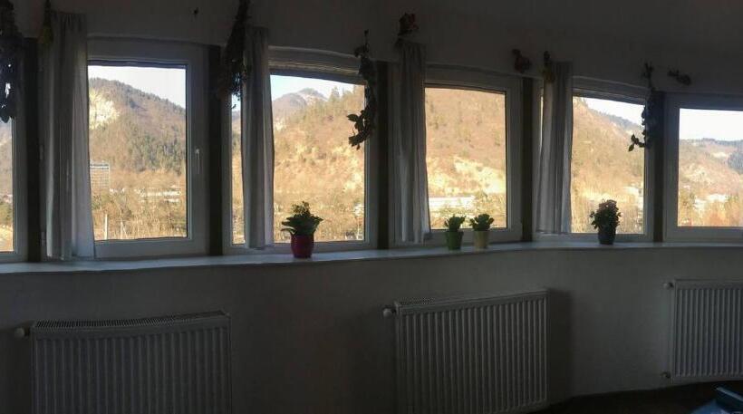 Lemon Tree Apartment