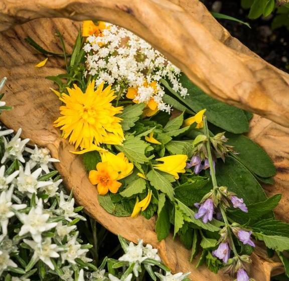 Biohotel Walser Stuba