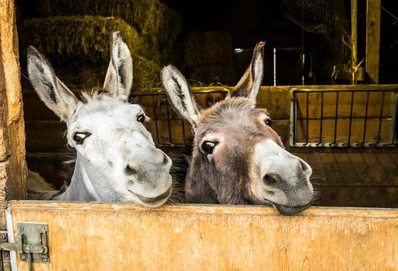 Biohotel Walser Stuba