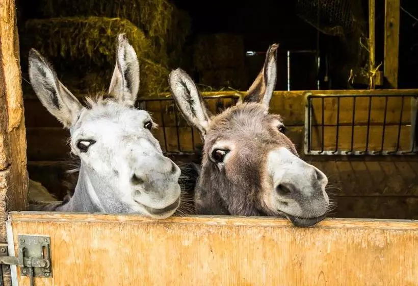 Biohotel Walser Stuba