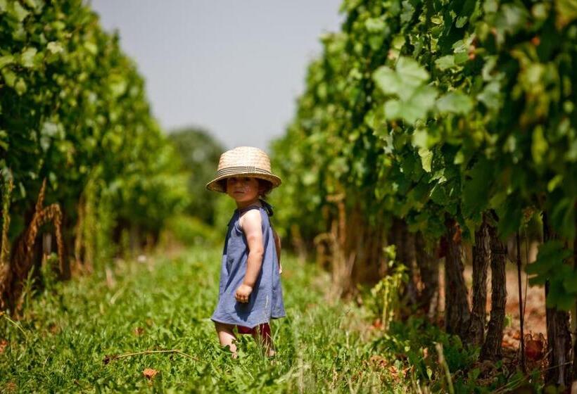 Отель All In Red Thermen