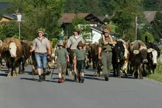 Bauernhof Moosmann Gretl