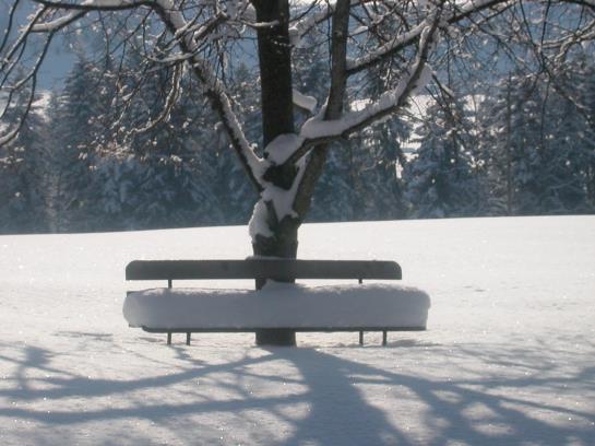 Bauernhof Niederacher