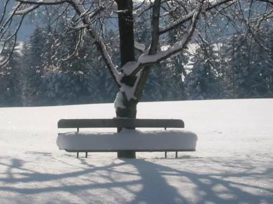 Bauernhof Niederacher