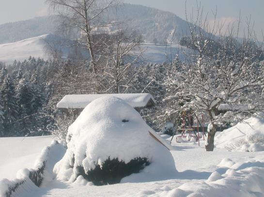 Bauernhof Niederacher