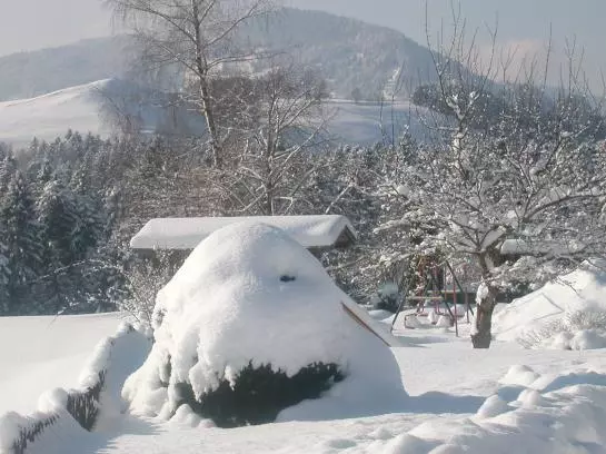 Bauernhof Niederacher