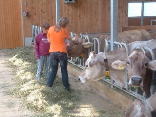 Bauernhof Schneider Reinhard