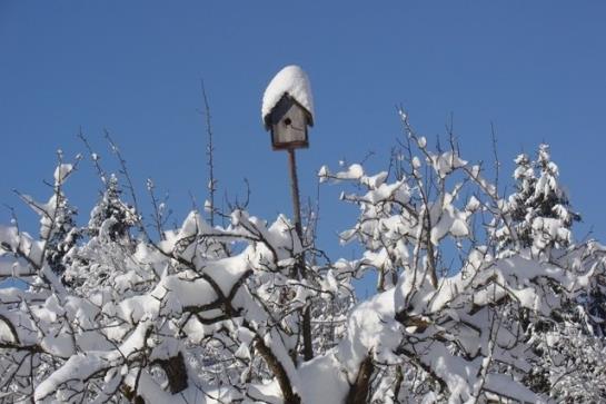 Bauernhof Schneider Reinhard