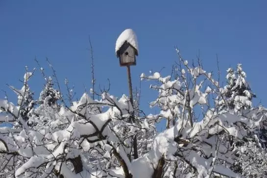 Bauernhof Schneider Reinhard
