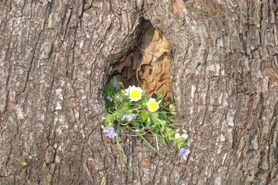 Bauernhof Schneider Reinhard