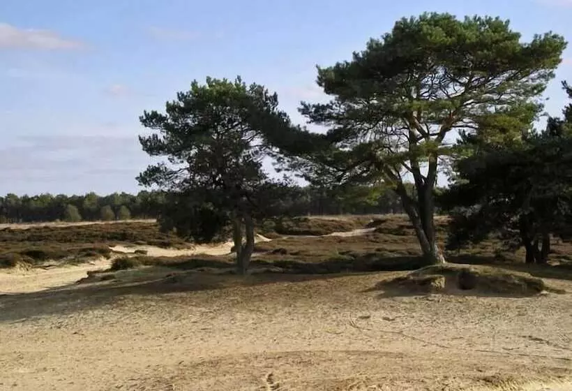 酒店 De Koningsherberg