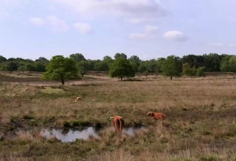 酒店 De Koningsherberg