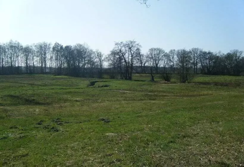 酒店 De Koningsherberg