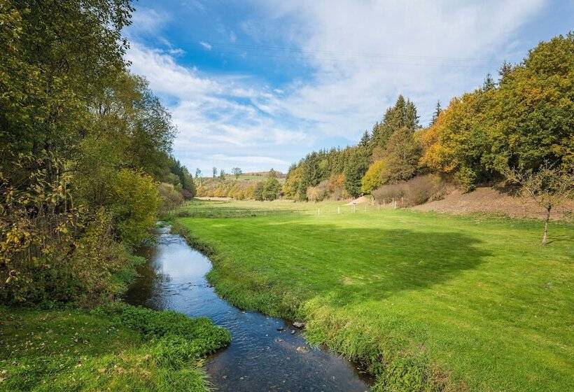 酒店 Domaine Du Moulin D'asselborn