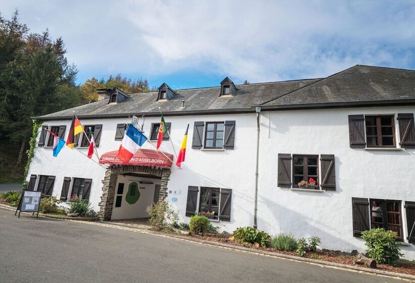 酒店 Domaine Du Moulin D'asselborn