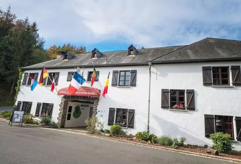 هتل Domaine Du Moulin D'asselborn