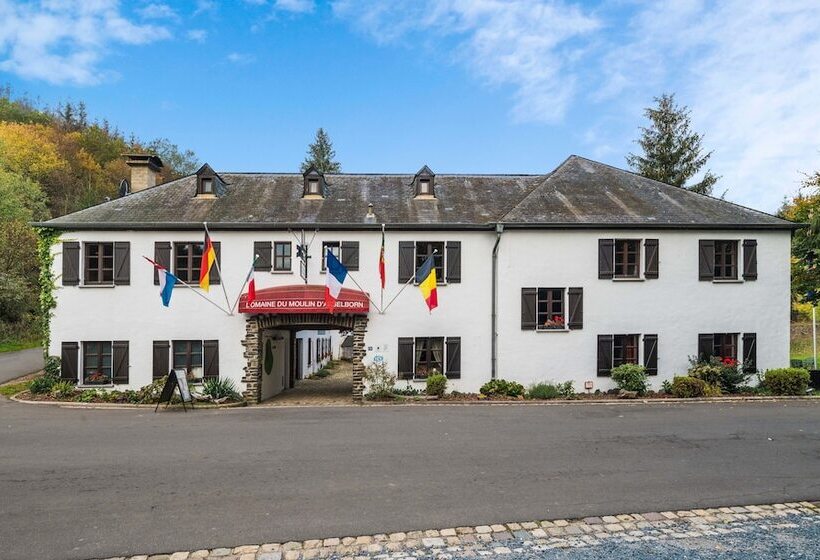 酒店 Domaine Du Moulin D'asselborn
