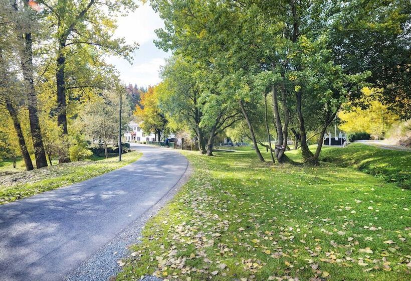 酒店 Domaine Du Moulin D'asselborn