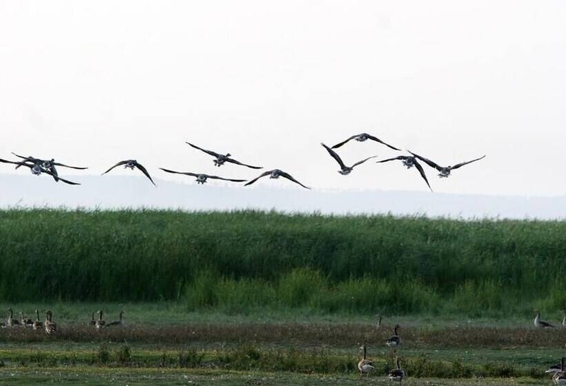 Отель Georgshof