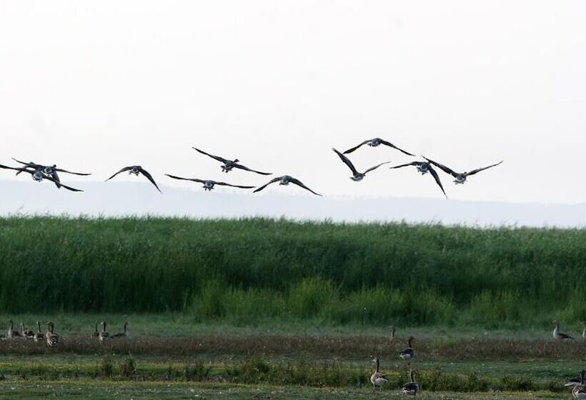 Отель Georgshof