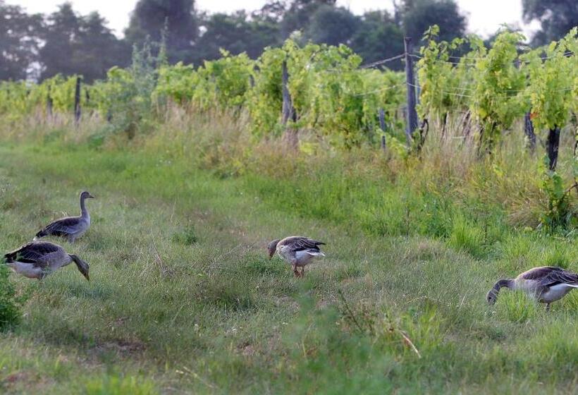 Отель Georgshof