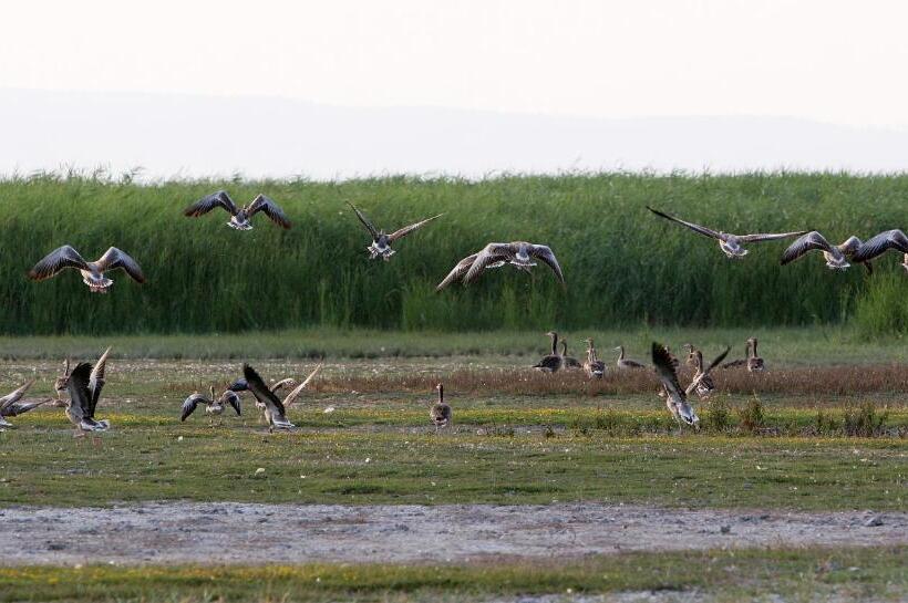 Отель Georgshof