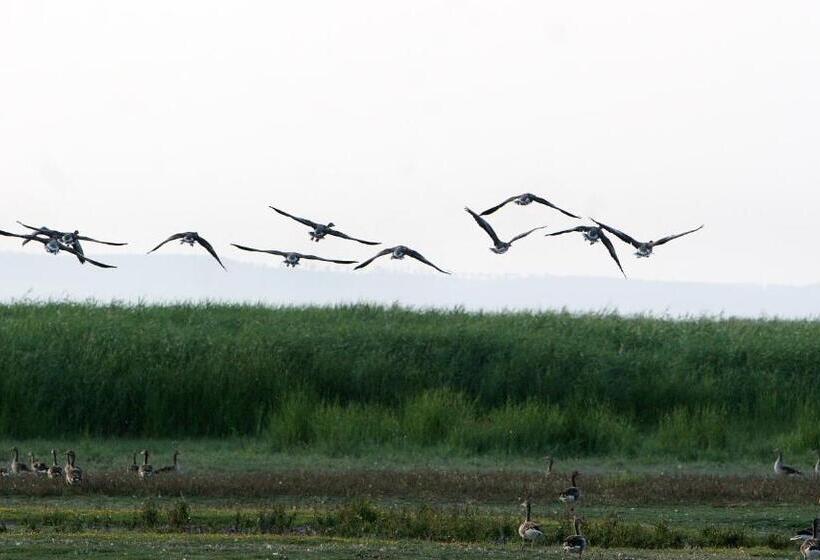 Отель Georgshof