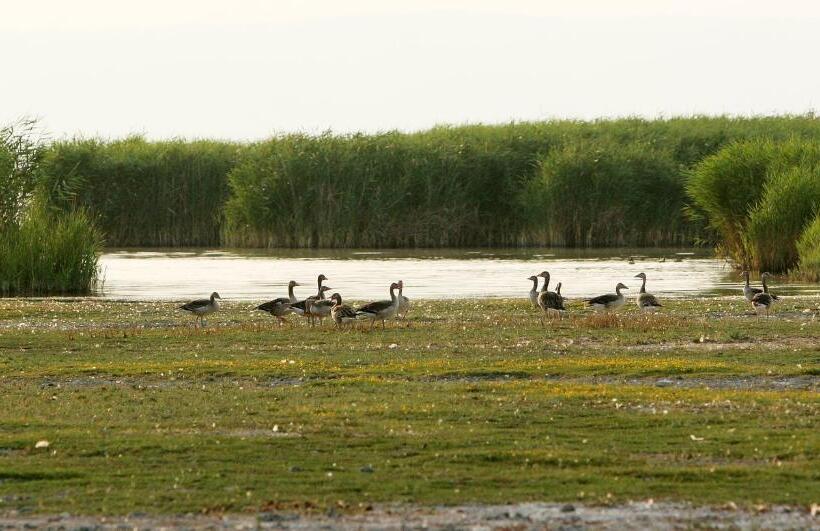 Отель Georgshof