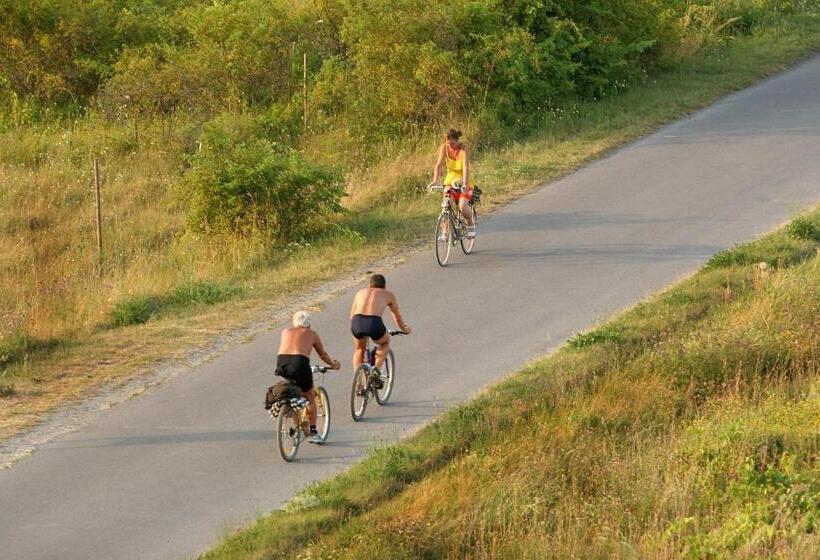 Отель Georgshof