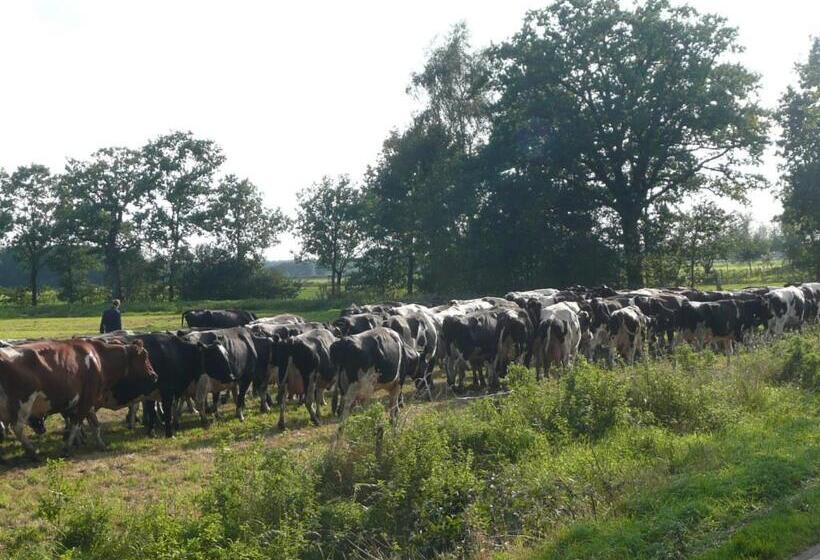 Hajé Waterlodge En Hotel Ark De Aalscholver