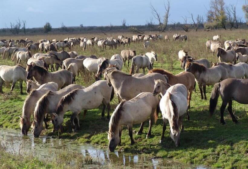 Hajé Waterlodge En Hotel Ark De Aalscholver