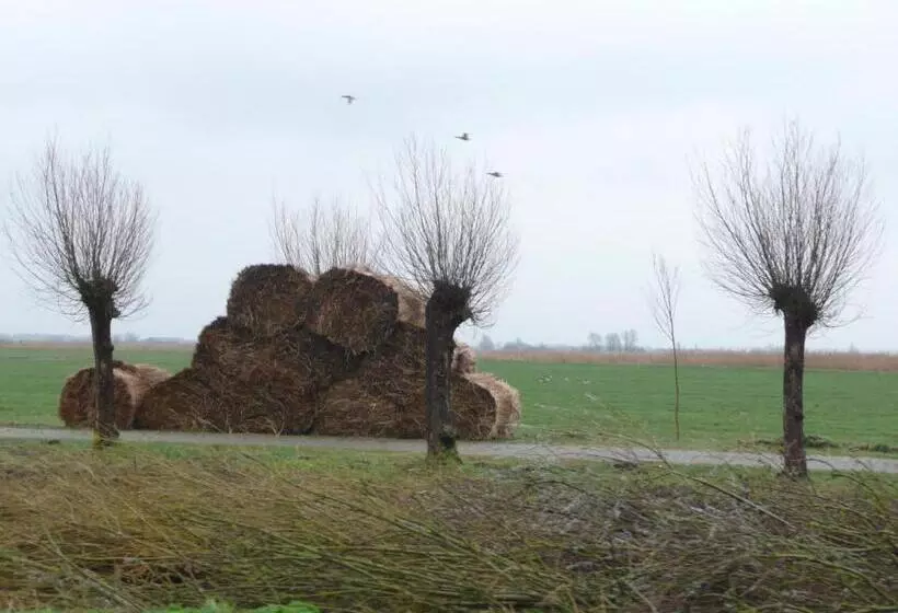 Hajé Waterlodge En Hotel Ark De Aalscholver