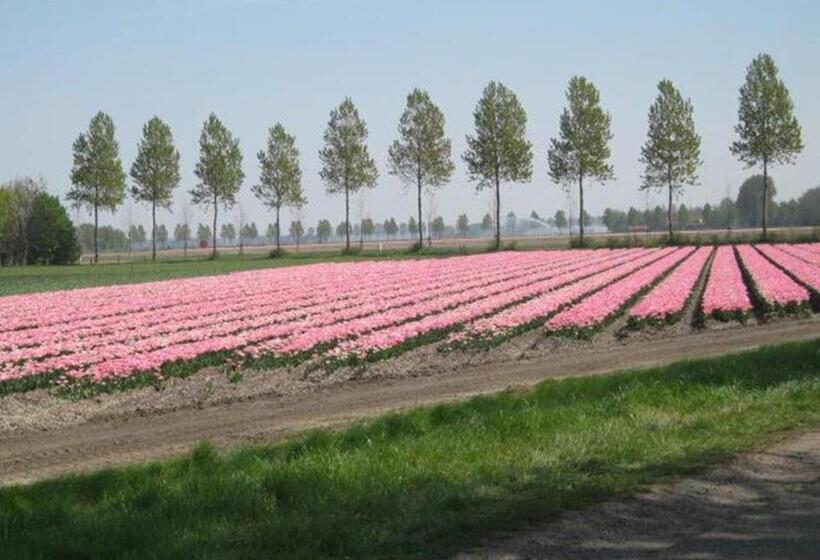 Hajé Waterlodge En Hotel Ark De Aalscholver