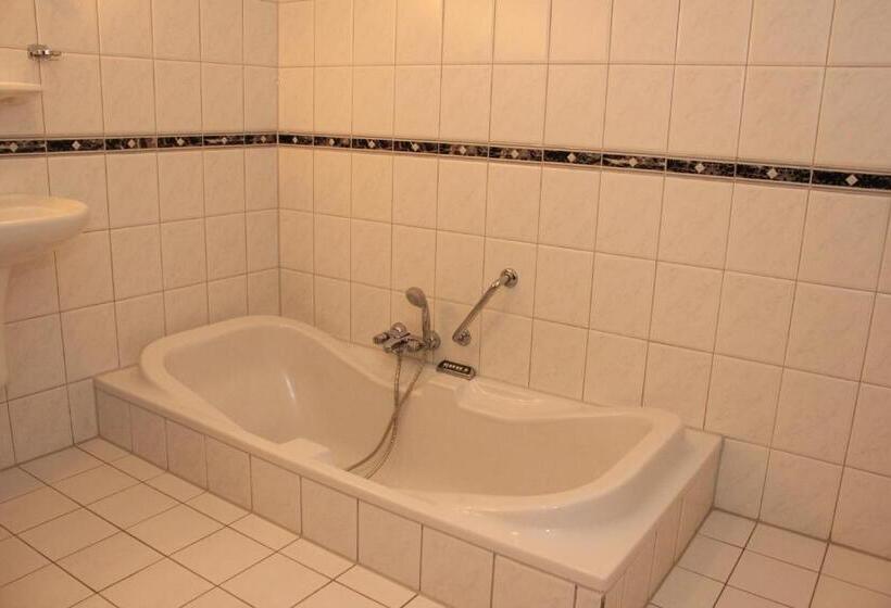 בית מלון כפרי Hof Van Twente