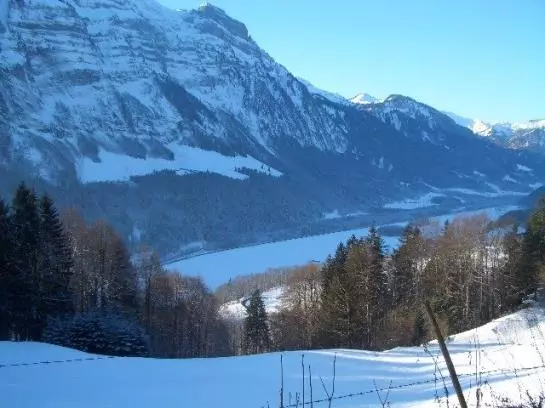 ホテル Huette Ruescher