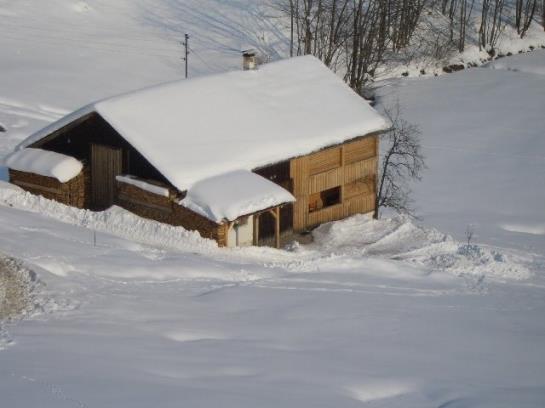 Отель Huette Ruescher