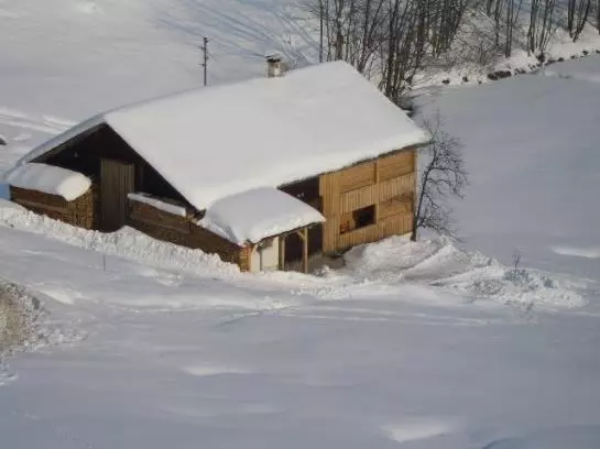 ホテル Huette Ruescher