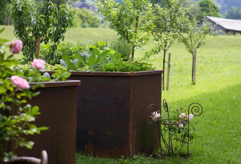 膳宿费 Gasthof Taube