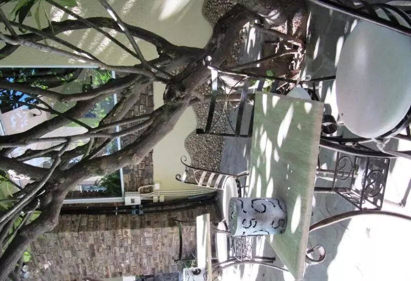 پانسیون Guesthouse Terra Africa