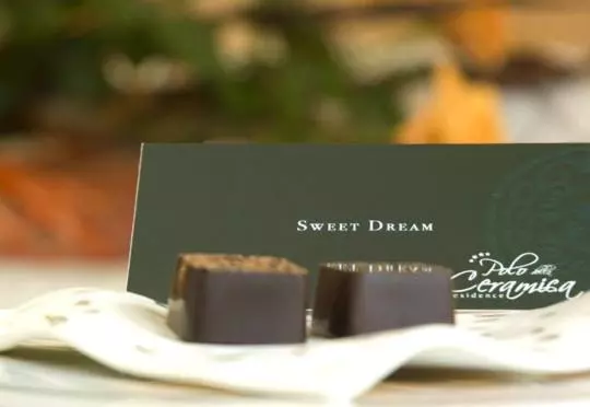 住所  Polo Della Ceramica