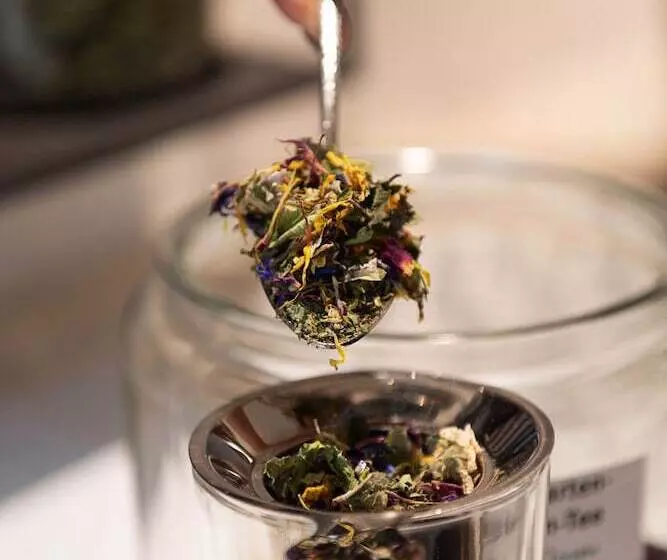 Kräuter & Spa Hotel Das Schäfer   Adults Only