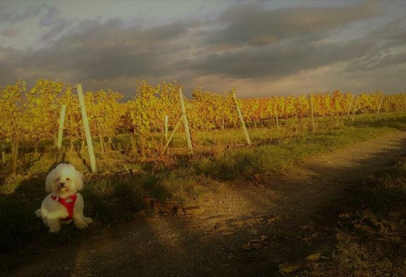 Weinhaus Eva Maria Wagner