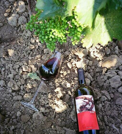 Weinhaus Eva Maria Wagner