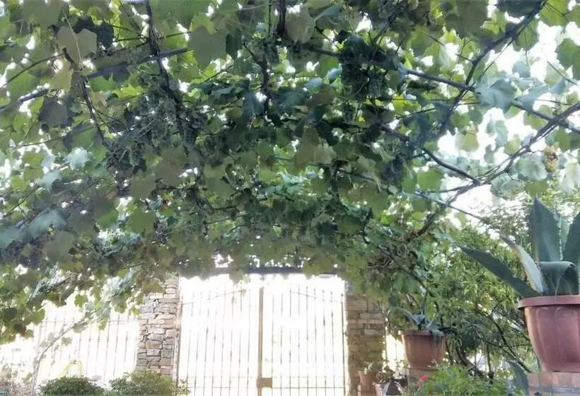 Casa Elena
