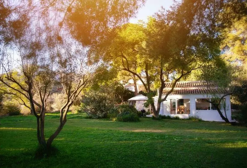 Finca Palmers Dos
