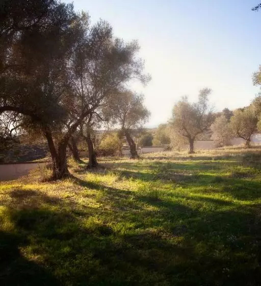 Finca Palmers Dos