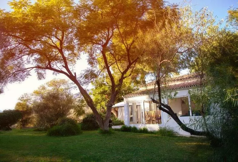 Finca Palmers Dos