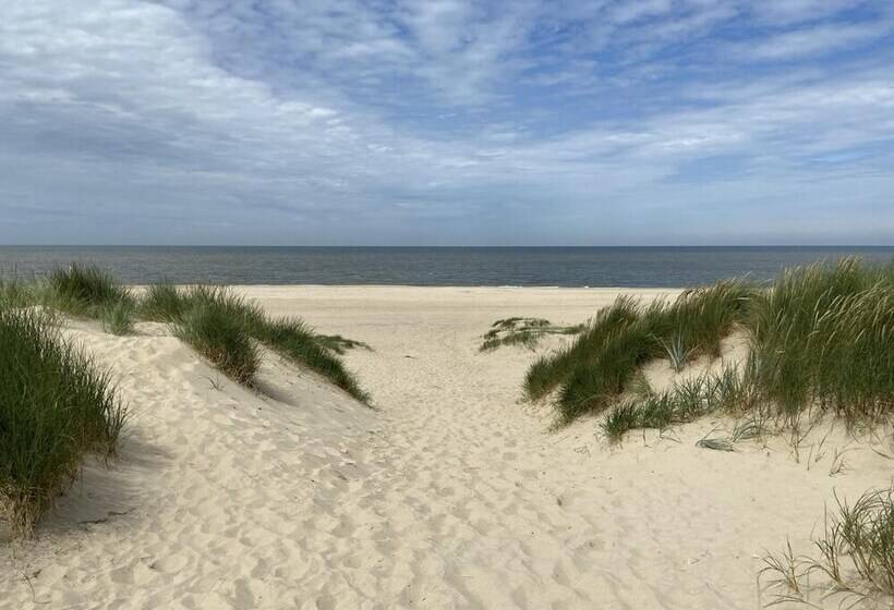 Zp 508   Camping De Zandput